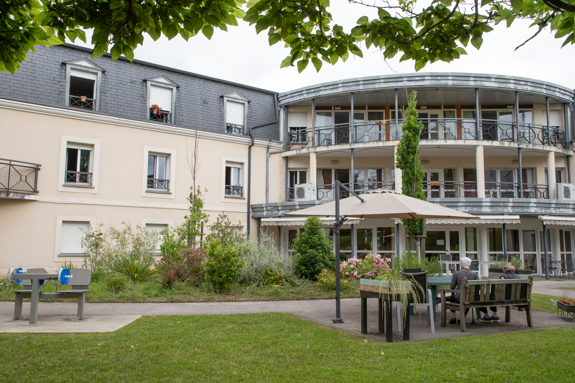 Lire la suite à propos de l’article Les Fougères